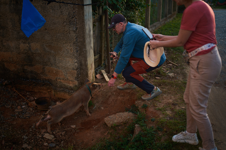 WAAACH5BAEAAAAALAAAAAABAAEAAAICRAEAOw==