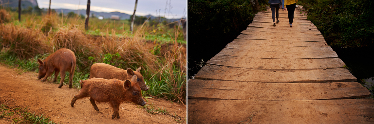 WAAACH5BAEAAAAALAAAAAABAAEAAAICRAEAOw==