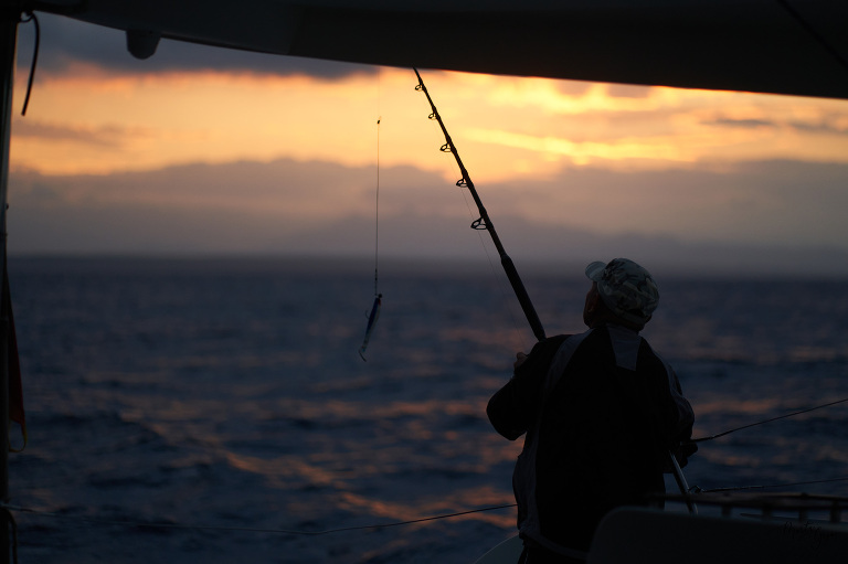 WAAACH5BAEAAAAALAAAAAABAAEAAAICRAEAOw==