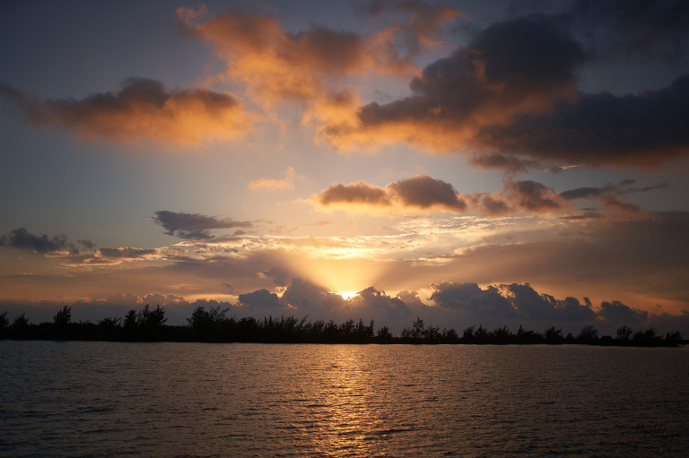 WAAACH5BAEAAAAALAAAAAABAAEAAAICRAEAOw==