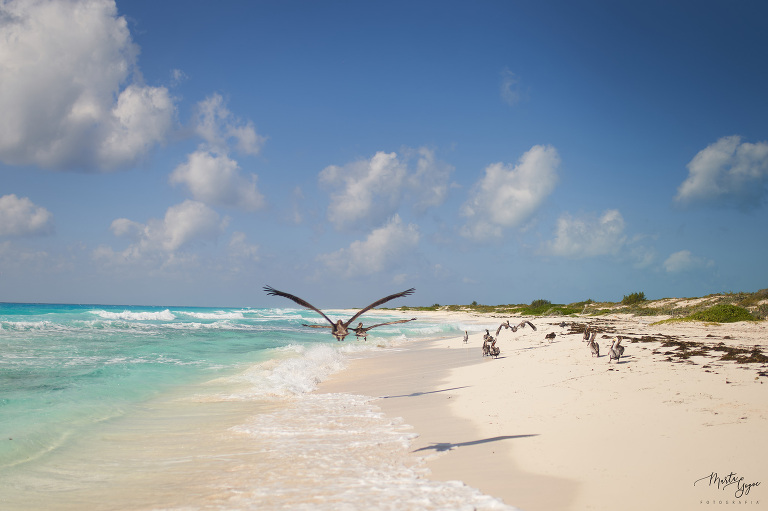 WAAACH5BAEAAAAALAAAAAABAAEAAAICRAEAOw==