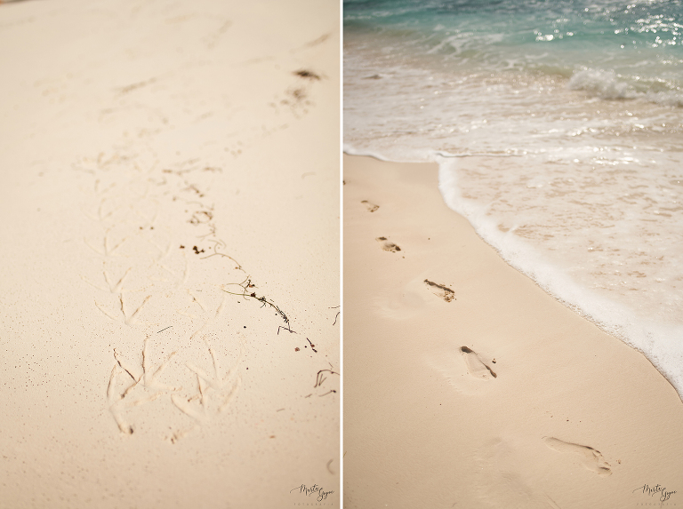 WAAACH5BAEAAAAALAAAAAABAAEAAAICRAEAOw==