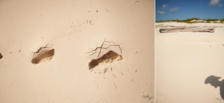 WAAACH5BAEAAAAALAAAAAABAAEAAAICRAEAOw==