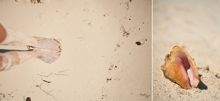 WAAACH5BAEAAAAALAAAAAABAAEAAAICRAEAOw==