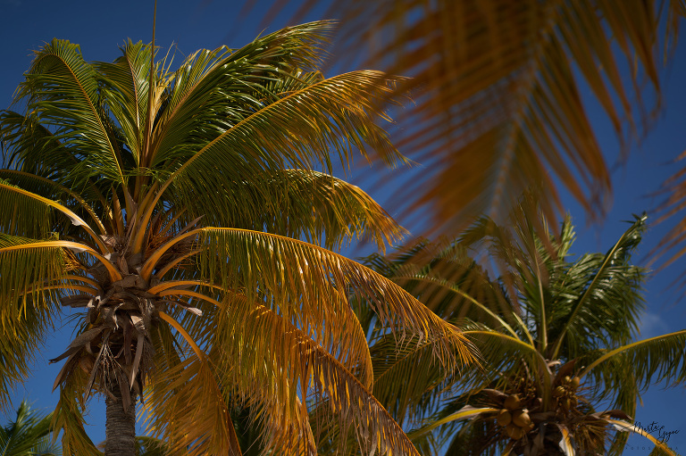 WAAACH5BAEAAAAALAAAAAABAAEAAAICRAEAOw==