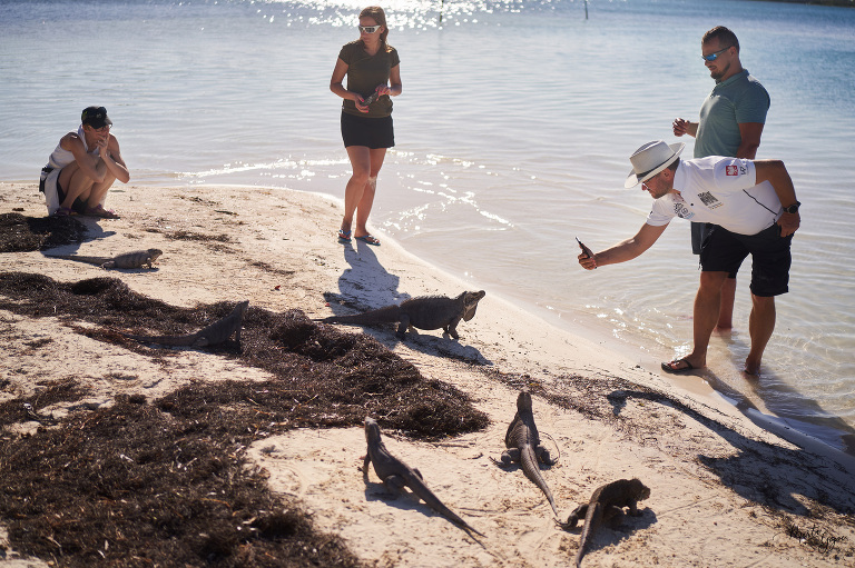 WAAACH5BAEAAAAALAAAAAABAAEAAAICRAEAOw==