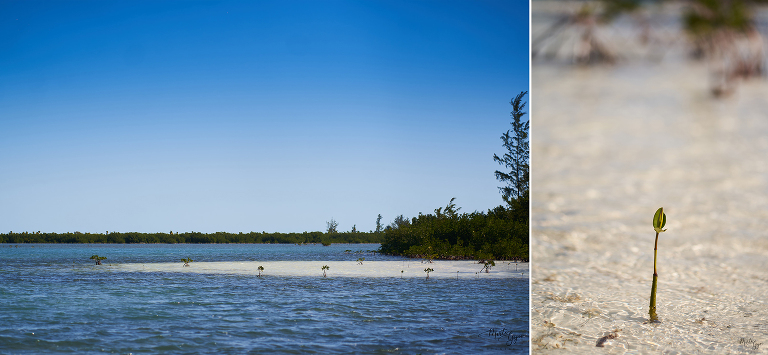 WAAACH5BAEAAAAALAAAAAABAAEAAAICRAEAOw==