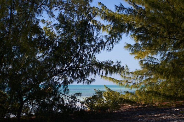 WAAACH5BAEAAAAALAAAAAABAAEAAAICRAEAOw==