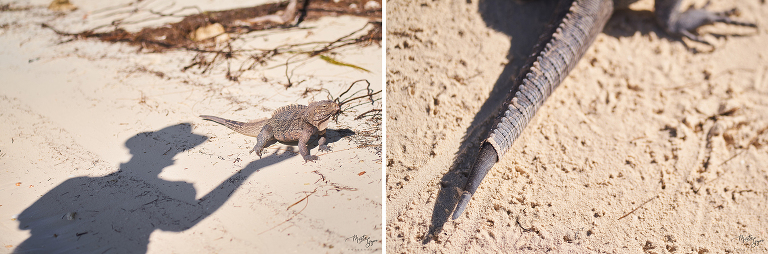 WAAACH5BAEAAAAALAAAAAABAAEAAAICRAEAOw==