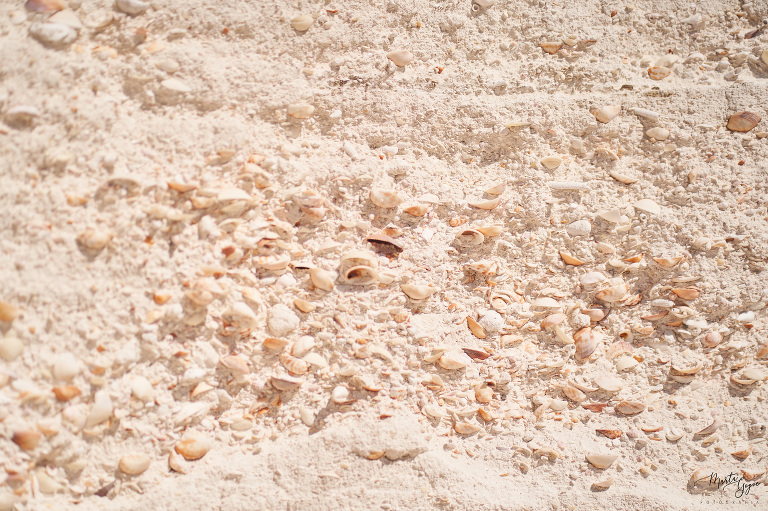 WAAACH5BAEAAAAALAAAAAABAAEAAAICRAEAOw==