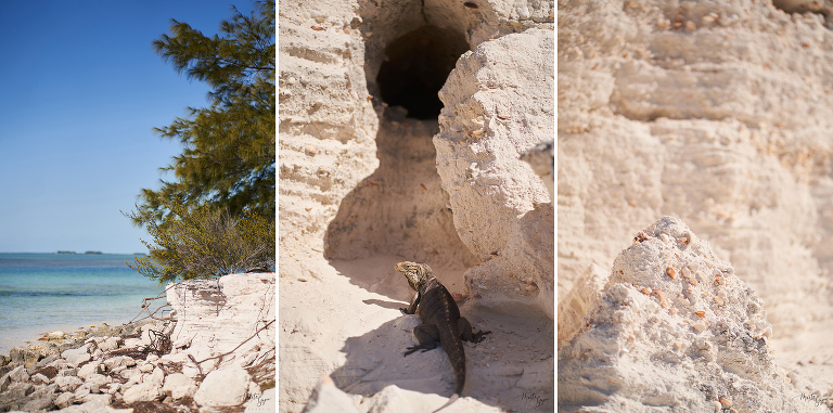 WAAACH5BAEAAAAALAAAAAABAAEAAAICRAEAOw==