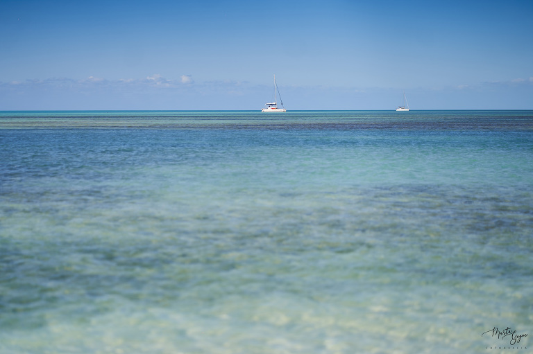 WAAACH5BAEAAAAALAAAAAABAAEAAAICRAEAOw==