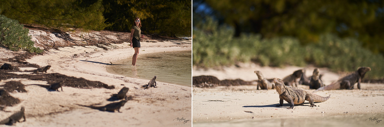 WAAACH5BAEAAAAALAAAAAABAAEAAAICRAEAOw==