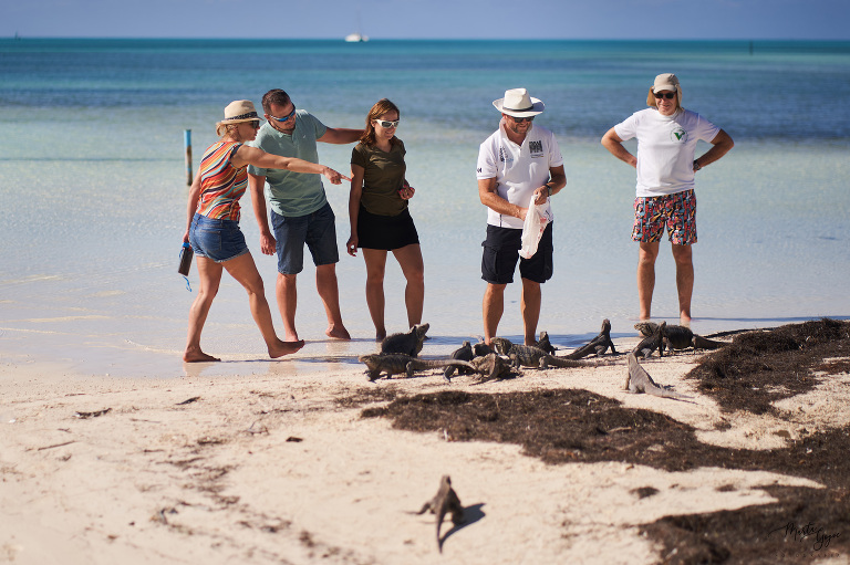 WAAACH5BAEAAAAALAAAAAABAAEAAAICRAEAOw==