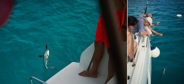 WAAACH5BAEAAAAALAAAAAABAAEAAAICRAEAOw==