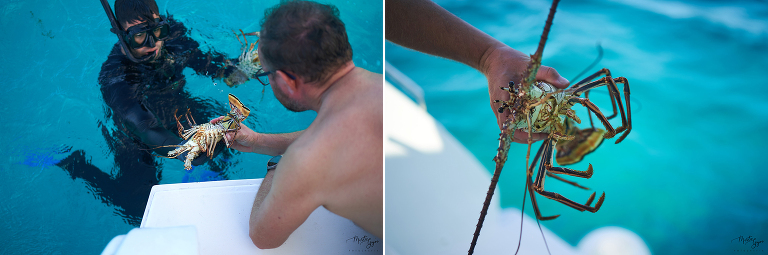 WAAACH5BAEAAAAALAAAAAABAAEAAAICRAEAOw==