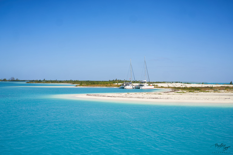 WAAACH5BAEAAAAALAAAAAABAAEAAAICRAEAOw==