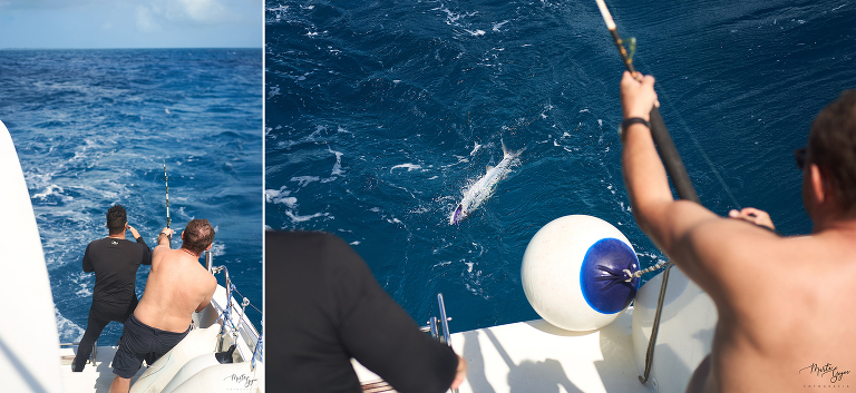 WAAACH5BAEAAAAALAAAAAABAAEAAAICRAEAOw==