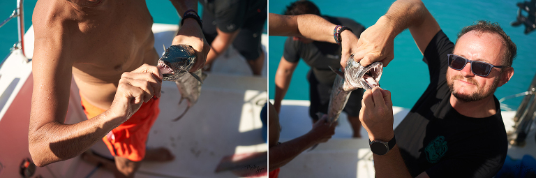 WAAACH5BAEAAAAALAAAAAABAAEAAAICRAEAOw==