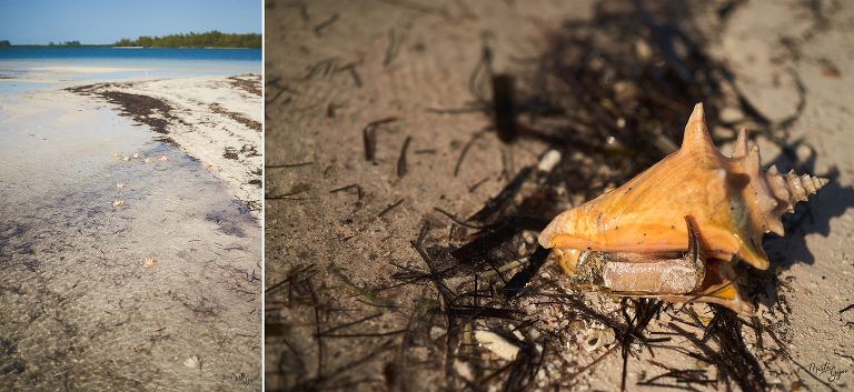 WAAACH5BAEAAAAALAAAAAABAAEAAAICRAEAOw==