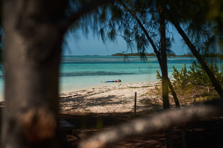 WAAACH5BAEAAAAALAAAAAABAAEAAAICRAEAOw==