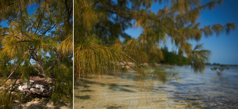 WAAACH5BAEAAAAALAAAAAABAAEAAAICRAEAOw==