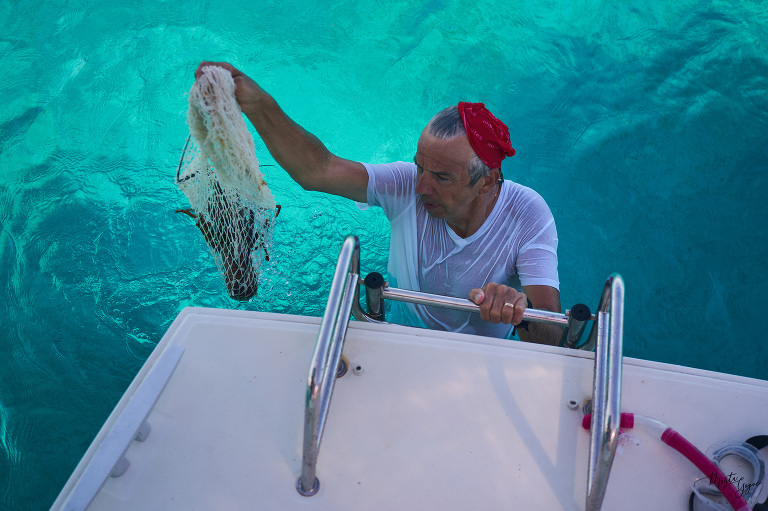 WAAACH5BAEAAAAALAAAAAABAAEAAAICRAEAOw==