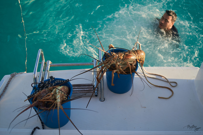 WAAACH5BAEAAAAALAAAAAABAAEAAAICRAEAOw==