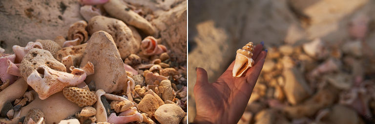 WAAACH5BAEAAAAALAAAAAABAAEAAAICRAEAOw==