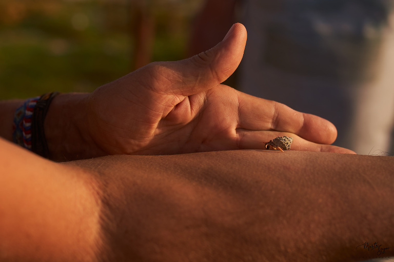 WAAACH5BAEAAAAALAAAAAABAAEAAAICRAEAOw==