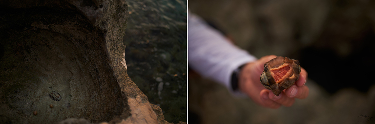 WAAACH5BAEAAAAALAAAAAABAAEAAAICRAEAOw==