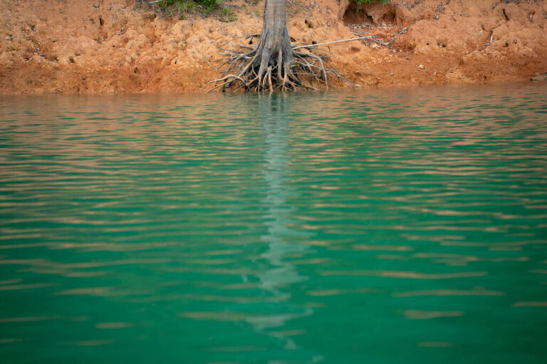 WAAACH5BAEAAAAALAAAAAABAAEAAAICRAEAOw==